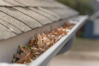 Austin Gutter Protection - Window Installation & Replacement in Cedar Park, TX