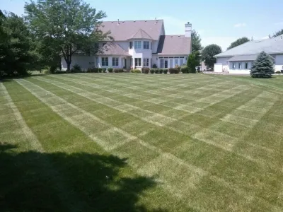 Lawn Perks Inc - Landscape Construction in Springfield, IL