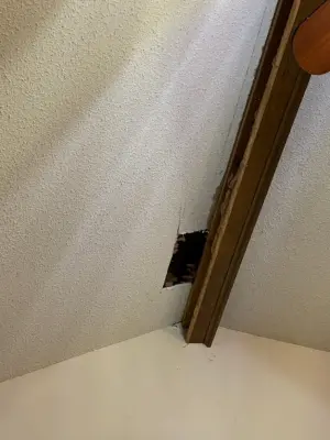 Ceiling Renovation and New Sheetrock Installation with Taping and Floating by Original Roofers