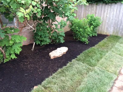 Lawn Shark Land Maintenance, Inc - Landscape Construction in Lexington, KY