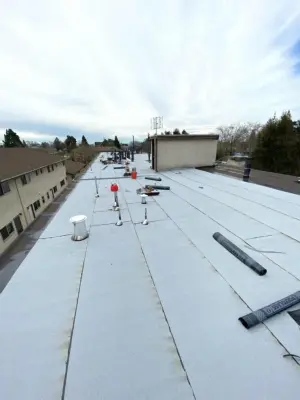 Alameda Project — Roofing & Gutter Services project by Moctezuma Roofing Inc.