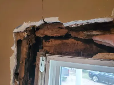 AllStar Roofing & Repairs - Handyman Services in Albany, GA