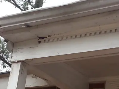 Exterior Source - Window Installation & Replacement in Chesapeake, VA