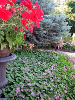 Riverside Village - The Woods by Chuck B Edwards Landscape Architecture & 3D