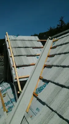 Precision Roofers, LLC - Roofing & Gutter Services in Newnan, GA
