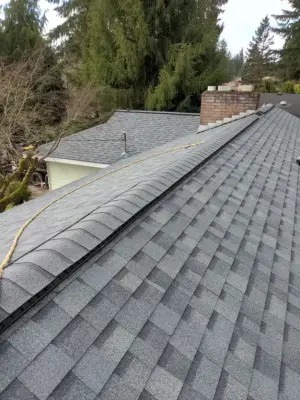 Bellevue Rooftop Asphalt — Roofing & Gutter Services project by RoofSmart