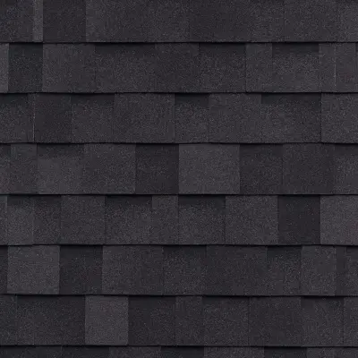 Timeless Monochrome Ranch — Roofing & Gutter Services project by Patriot Roofing Company