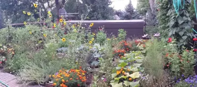 Green Roofs of Colorado - Roofing & Gutter Services in Boulder, CO