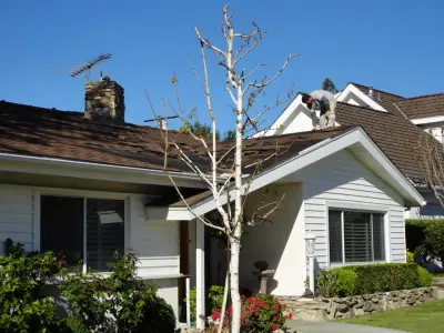 Golden State Roofers - Insulation Installation in Woodland Hills, CA