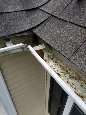 Gutter Cowboy LLC - Roofing & Gutter Services in Acushnet, MA