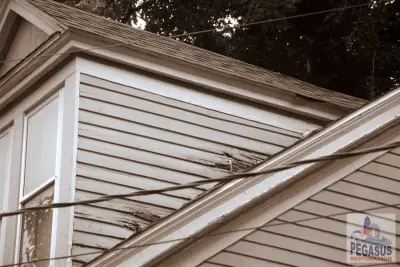 Pegasus Restoration - Roofing & Gutter Services in Louisville, KY
