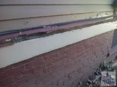 Pegasus Restoration - Roofing & Gutter Services in Louisville, KY