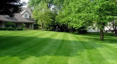 Fair Lawn Care Solutions LLC - Tree & Shrub Care in Muskogee, OK