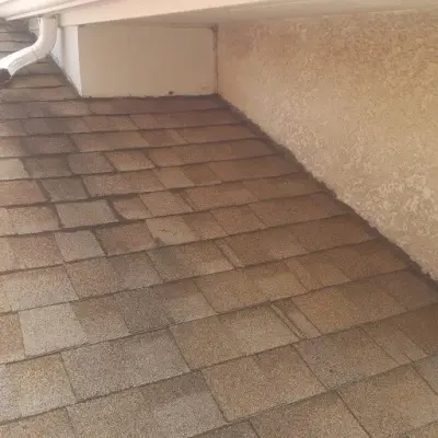 Fresh Chimney Cricket — Roofing & Gutter Services project by Restoreline INC