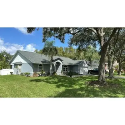 Tampa Bay Roofing Services - Roofing & Gutter Services in Brandon, FL