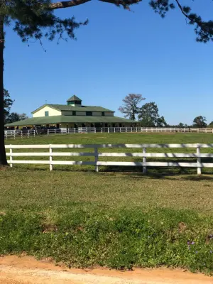 Space Age Roof Tech - Roofing & Gutter Services in Tallahassee, FL