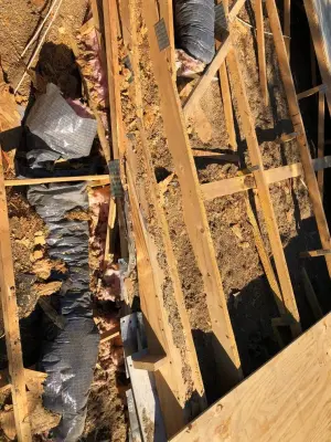 Juarez construction lawnscape - Roofing & Gutter Services in San Antonio, TX