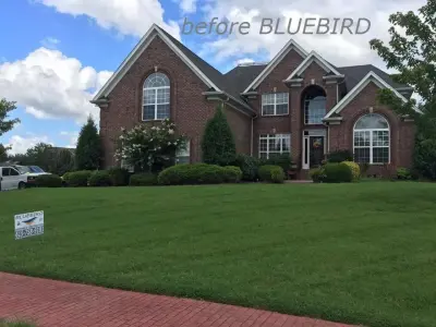 Bluebird Roofing & Construction - Roofing & Gutter Services in Mount Juliet, TN