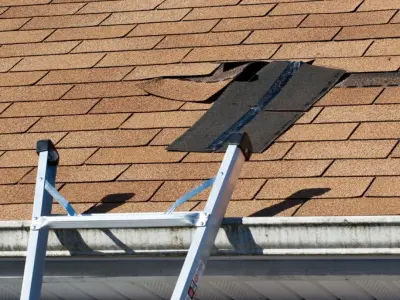 Carter Roofing - Roofing & Gutter Services in Oxnard, CA
