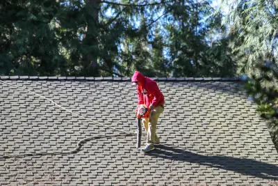 Roof Maintenance and Moss Elimination — Roofing & Gutter Services project by Valentine Roofing