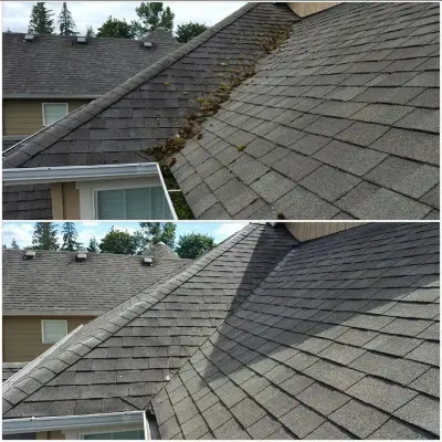 Moss Defender Roof and Gutter Cleaning LLC - Roofing & Gutter Services in Sultan, WA