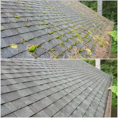 Moss Defender Roof and Gutter Cleaning LLC - Roofing & Gutter Services in Sultan, WA