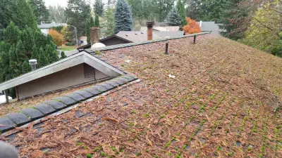 Moss Defender Roof and Gutter Cleaning LLC - Roofing & Gutter Services in Sultan, WA