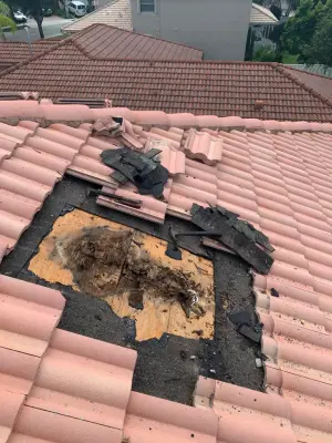 Masis Roofing - Siding & Exterior Remodeling in Miami, FL