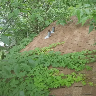 Leak repair for roofs — Roofing & Gutter Services project by Restoreline INC