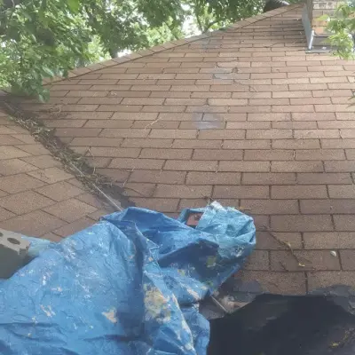 Restoreline INC - Insulation Installation in Robbinsdale, MN