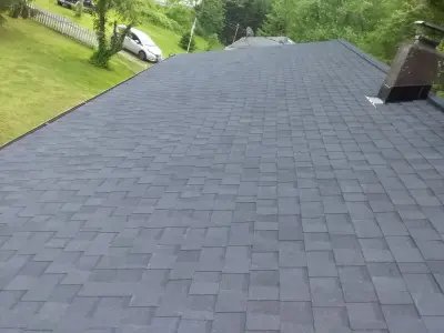 Gerson Roofing and Tree Services LLC - Roofing & Gutter Services in Alexandria, VA