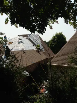 Ceilings — Roofing & Gutter Services project by My Beautiful Windows And Roofing