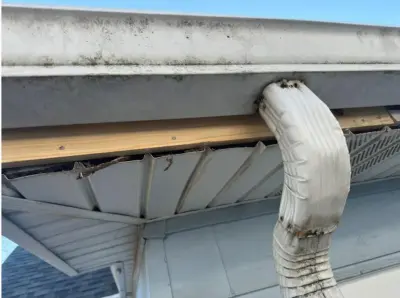 Eaves Replacement — Roofing & Gutter Services project by Modern Exterior Roofing