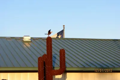 Teal Standing Seam by Houston Metal Roofing Services