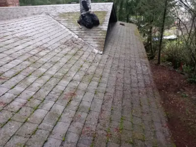 The Great Roofing & Gutters Llc - Roofing & Gutter Services in Lacey, WA