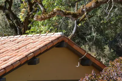 Premo Roofing Company - Roofing & Gutter Services in Castroville, CA