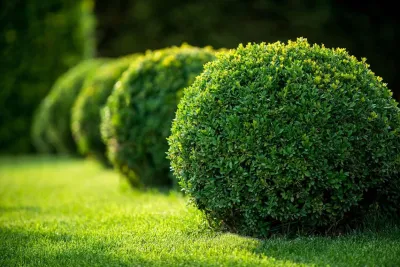 J&E Landscaping and Lawn Care - Landscape Construction in Raleigh, NC