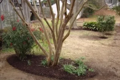 Live Oak Landscapes - Landscape Construction in Natchez, MS