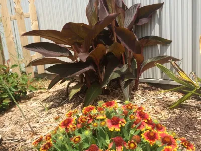 Low Maintenance Landscape Inc. - Landscape Construction in Lawrence, KS