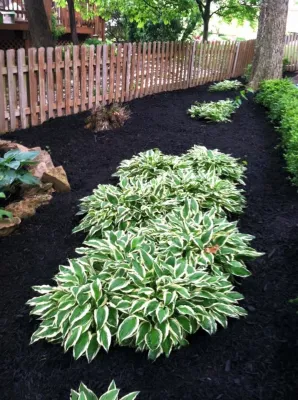 LT Lawns and Landscaping - Landscape Construction in Overland Park, KS