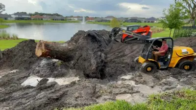 Bucket Man Tree Services - Tree & Shrub Care in Kingsland, GA