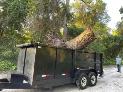 Bucket Man Tree Services - Tree & Shrub Care in Kingsland, GA