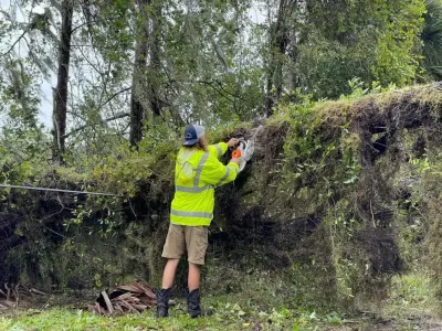 Bucket Man Tree Services - Tree & Shrub Care in Kingsland, GA
