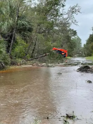 Bucket Man Tree Services - Tree & Shrub Care in Kingsland, GA