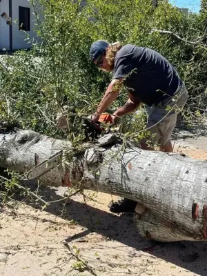 Bucket Man Tree Services - Tree & Shrub Care in Kingsland, GA