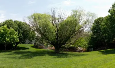 S & J Total Lawn & Tree Care - Tree & Shrub Care in Wichita, KS