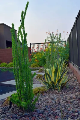 Mac Landscaping INC - Landscape Construction in Las Vegas, NV