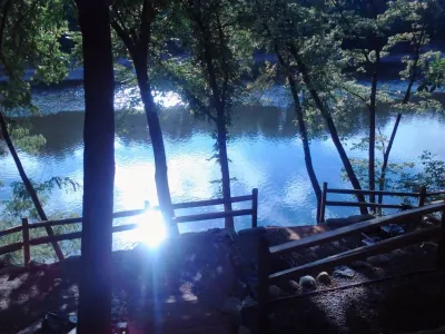 Maple Hill Forest Inc. - Landscape Construction in Elk River, MN