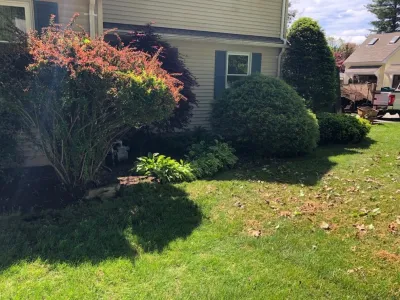 Maple Tree Landscape - Landscape Construction in Wayland, MA