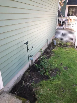 Maple Tree Landscape - Landscape Construction in Wayland, MA